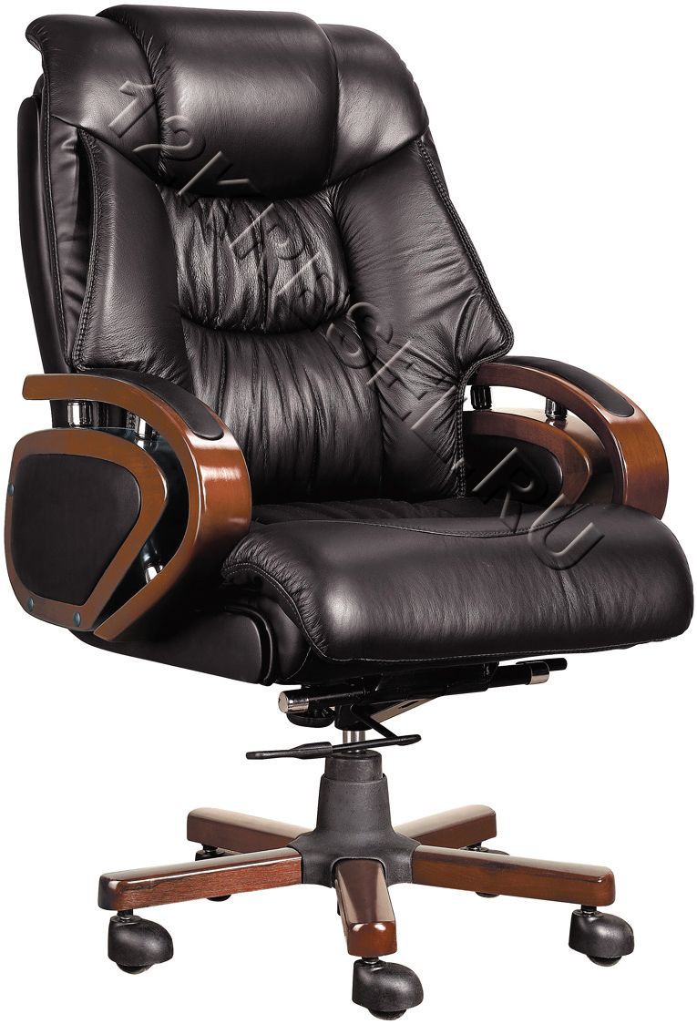 Кресло bn dt руководителя echair 509 tpu к з черный хром